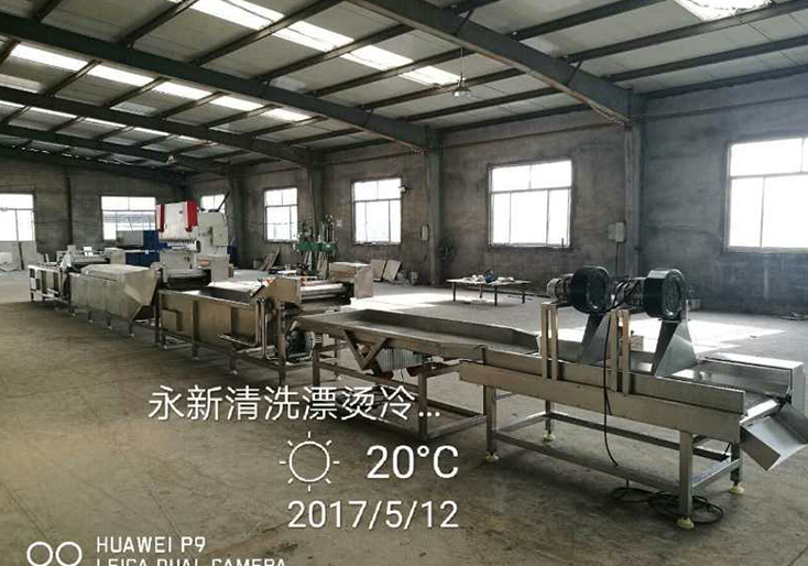 果蔬清洗漂烫加工线—Washing and blanching processing line for fruits and vegetables